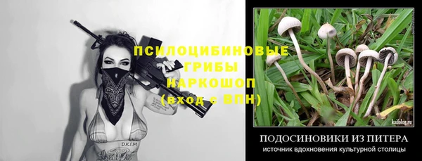 a pvp Киреевск