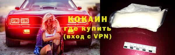 винт Тайга