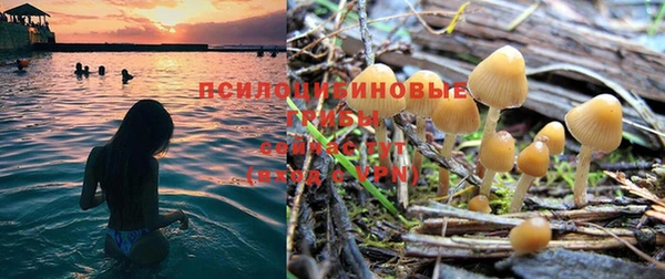 a pvp Киреевск