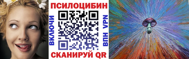Купить закладки  Болохово  Псилоцибиновые грибы Psilocybe 
